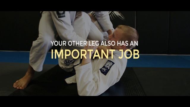 Passing the Single Leg X Guard || The "Flamingo" Pass смотреть онлайн