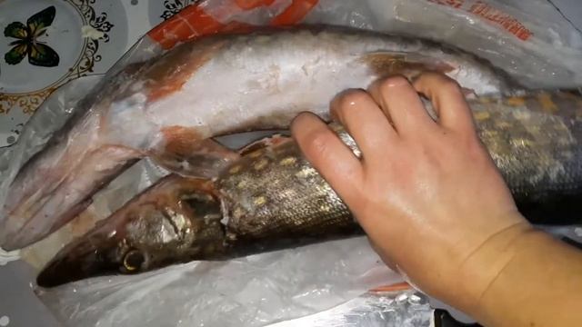 СХОДИЛА НА РЫБАЛКУ🙂🐟Жареная щука)))