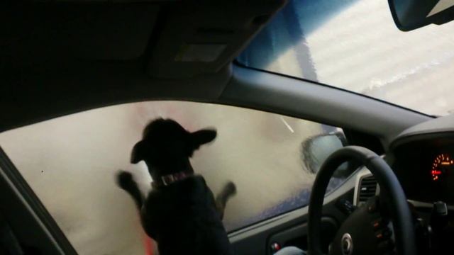 Лает на воду смотреть онлайн