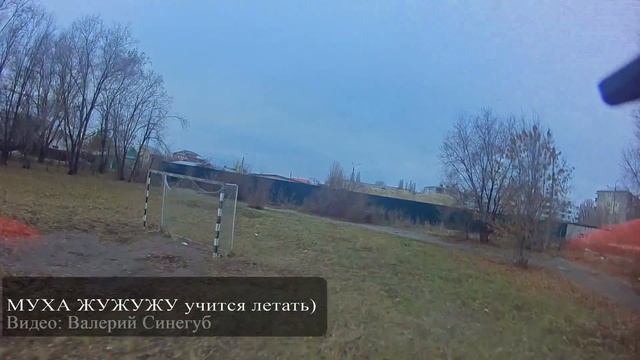 муха жужужу учится летать) смотреть онлайн