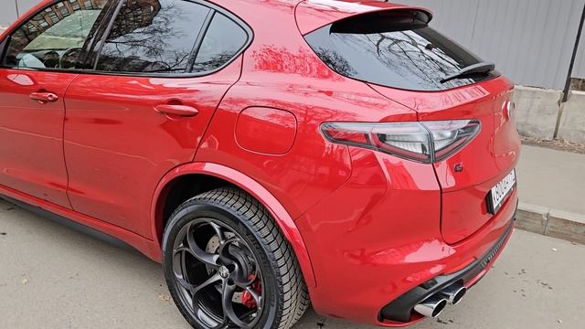 Stelvio Quadrifoglio