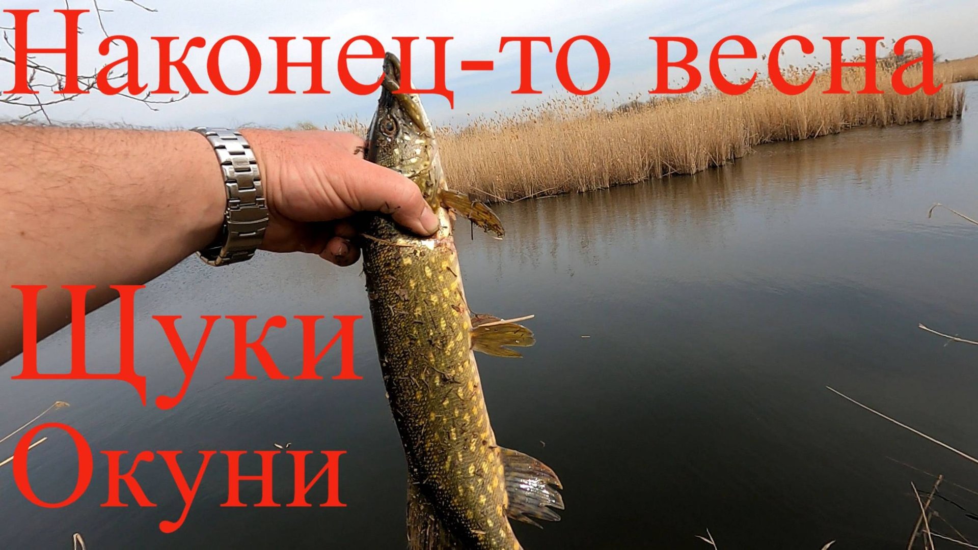 Ловля весенней щуки, на что клюёт щука весной!!!Март 15.03.25 г