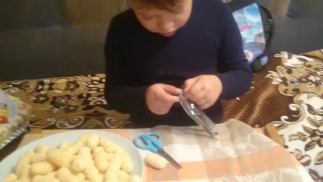 Звериный мир: диковинки и тайны