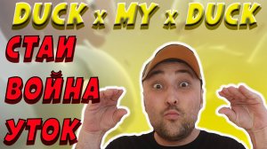 ТЕЛЕГРАМ БОТ DUCK my DUCK❗БИТВА УТОК❗ЧТО ТАКОЕ СТАИ❓ #duckmyduck #дакмайдак