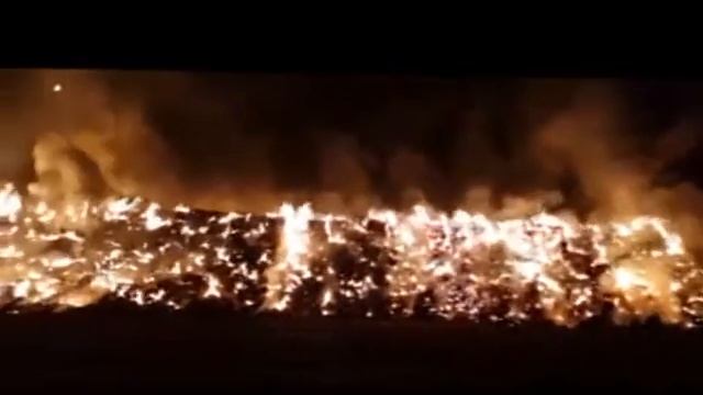 Куряне из мести «Мираторгу» спалили 1000 тюков сена смотреть онлайн