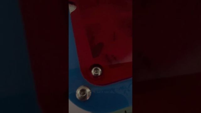 camponotus singularis moving into new nest смотреть онлайн