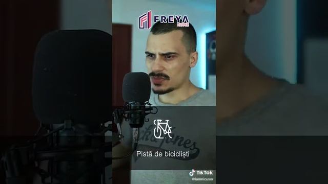 Freya Home - apartamente noi in Iasi смотреть онлайн