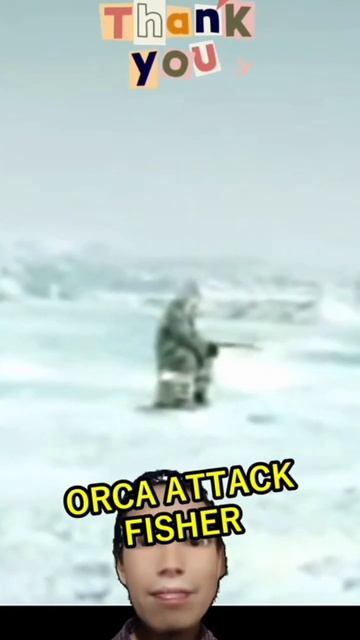 Orca Attack Fisher #shorts #viralshorts #shark #whale смотреть онлайн