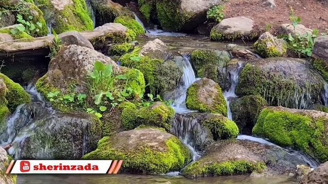 Traveling to Jahaz Banda | Katora Lake | Kund Banda | Kumrat Valley | Dir Uppr | Sherin Zada смотреть онлайн