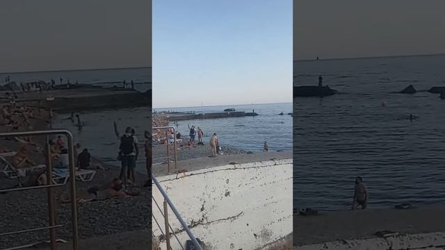 Пляж в Форосе 1 октября смотреть онлайн