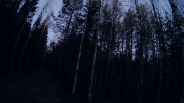 Весенняя охота на глухаря. Вологодчина. Охота На Охоту.