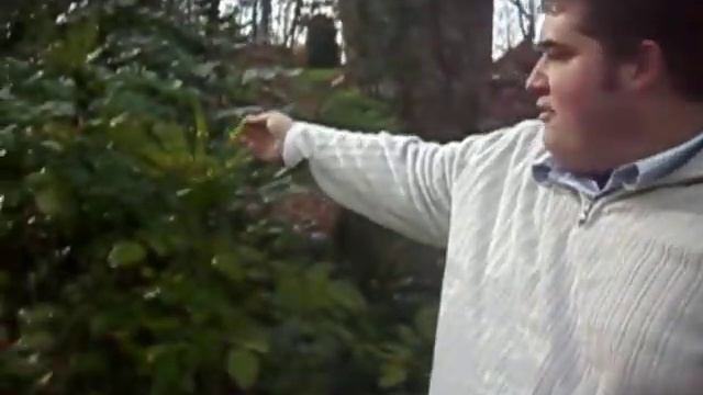 Plant Pick of the Week- Leatherleaf Mahonia.AVI смотреть онлайн