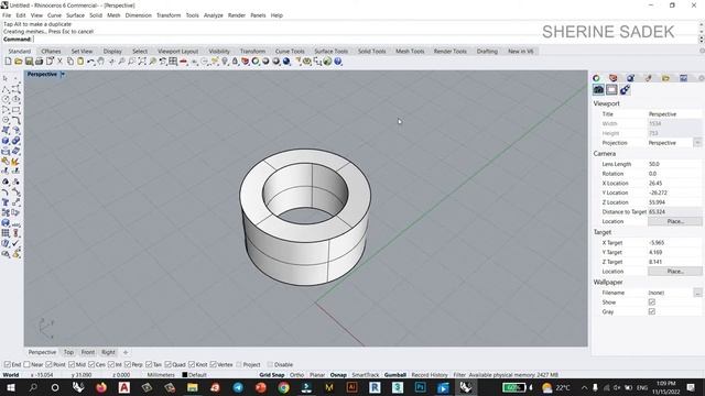 RHINO I HOW TO COPY - HOW TO USE PLANARSRF