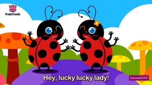 lucky ladybug