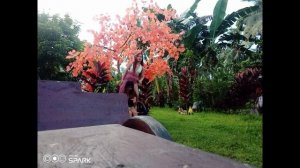 Shoulder ride raw |Queenie is heavy| michah cannot bend| Lift and carry challenge