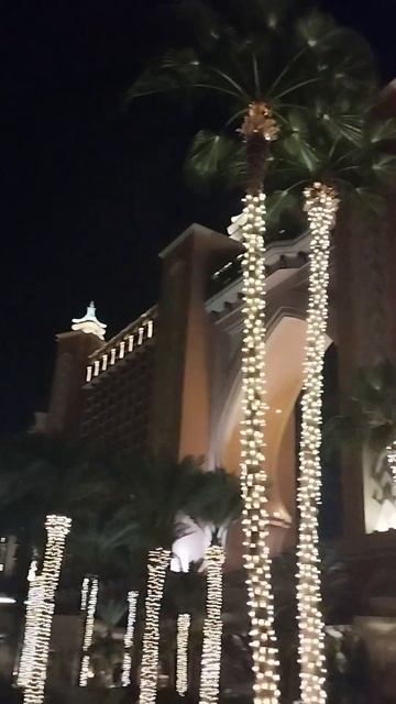 Atlantis the laugry five star ✨ Hotel in pam Dubai ❤️ United Arab Emirates 🇵🇸🇰🇼 смотреть онлайн