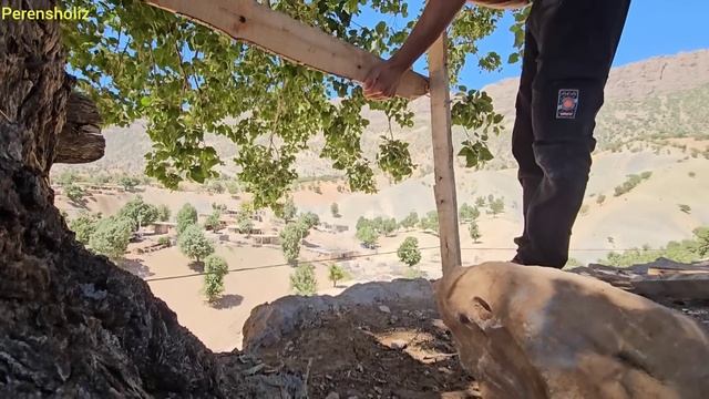 "Saleh's love for his children, a new start in building a house to protect children" смотреть онлайн