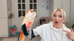 ЛИСА.ЕХЕ ОЖИВИЛА ИГРУШКИ ИЗ ДАРКНЕТА В 3 ЧАСА НОЧИ (СТРАШНО)