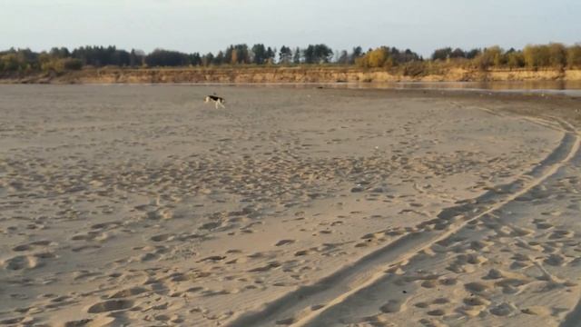 Радости девке никакой.Охотница за воронами. смотреть онлайн