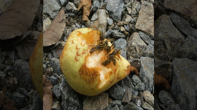 Endless piano смотреть онлайн