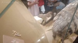 Free Entry in Ithra Museum | The King Abdulaziz Centre for World Culture | Dahran | SaudiAramco