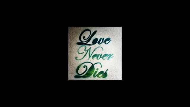 Heart Breaking HD LOVE MUSIC BGM FROM 3 MOVIE Edited By Vishnu Siddhu || SS смотреть онлайн