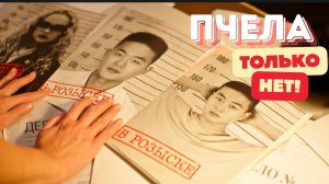 Пчела - Только нет!