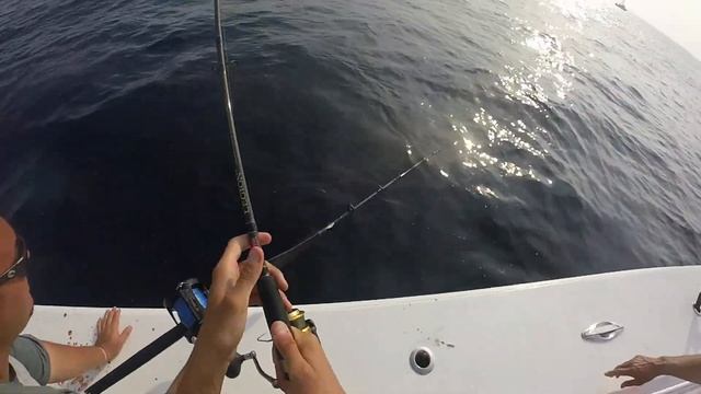 Yellowfin Tuna Action September 2nd смотреть онлайн