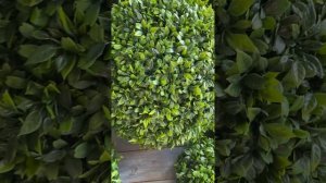 Edenplant.ru - Искусственный шар из травы самшит Royal grass mix