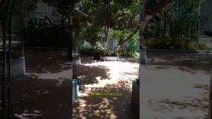 Turcja Side hotel Sunberk