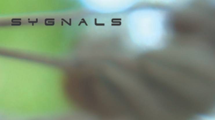 Self-Restrained Angel