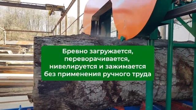 Механизированная ленточная пилорама с гидравлическим кантованием бревна