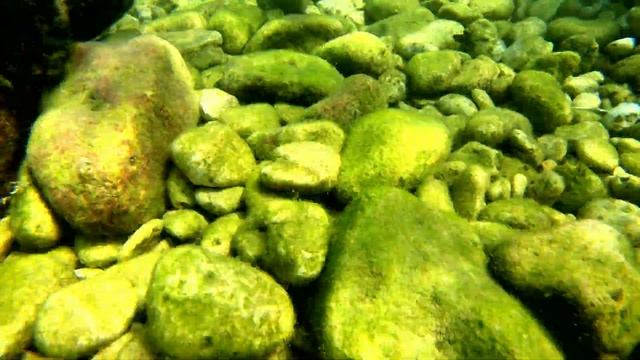 4к  Море в  Августе 29 08 2021