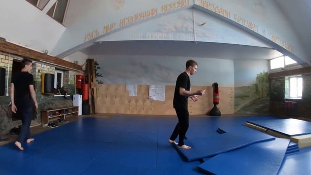 Влог #2.1 (Коротко о планах) или как низко мы пали, но как высоко хотим взлететь! смотреть онлайн