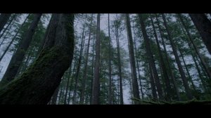 Ошибка времени. Мультивселенная — Русский трейлер (2024)