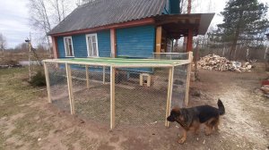 Выгул для кур несушек простой вариант