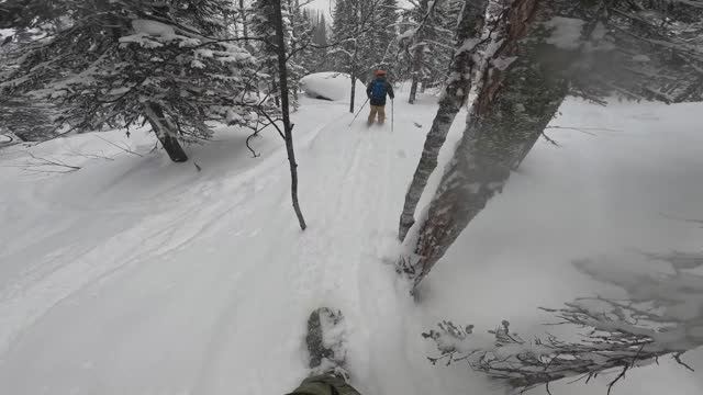 Шерегеш. Последний спуск за день. Весь лес раскатан.