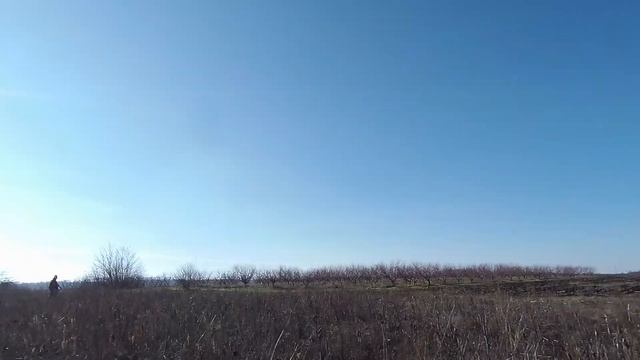 двадцатая охота - первая охота в новом 2021 году на фазана смотреть онлайн