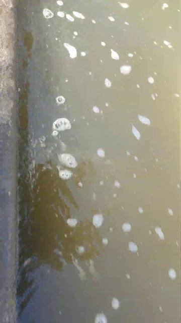 Воробьева Горы , Москва река Искупнись и растворись