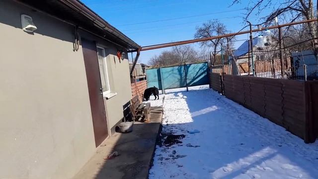 ЗИМНИЙ ДЕНЬ! Идем хлопотать по хозяйству. смотреть онлайн