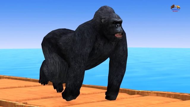 Paint Animals Cow Gorilla Duck Lion Chicken Sheep Tiger Elephant Fountain Crossing 3DAnimals Cartoo