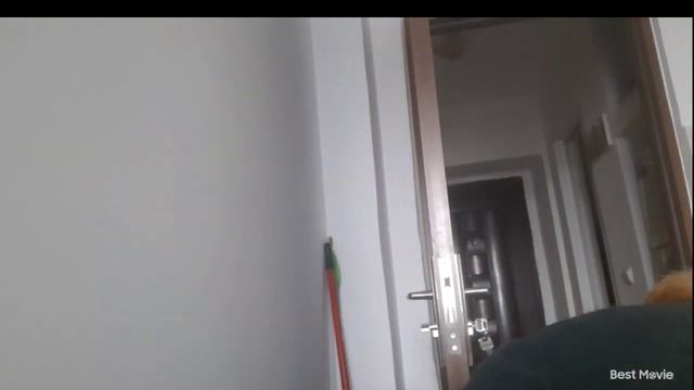 Haul Lidl смотреть онлайн