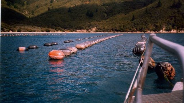 Aquaculture in New Zealand | Wikipedia audio article смотреть онлайн