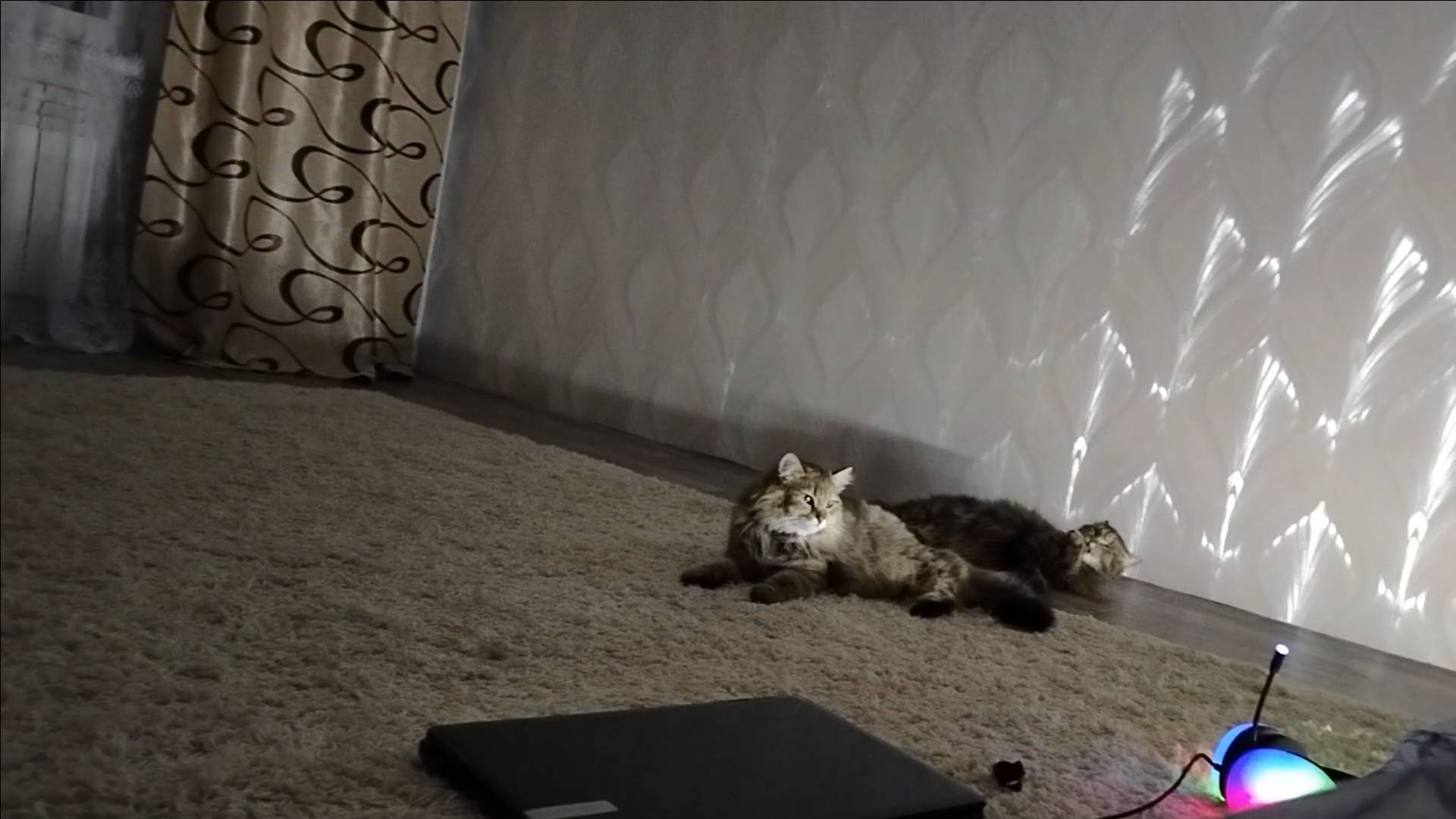 ПРОСТАЯ ЖИЗНЬ 45// ЗАБОЛЕЛА СВЕКРОВЬ /СРОЧНАЯ ПОЕЗДКА В КАТАЙСК//БОЛДЕЕМ НА 2 ЭТАЖЕ\\ смотреть онлайн