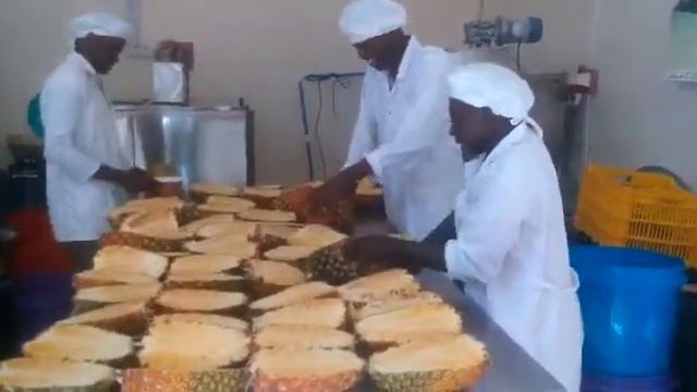 Uhuru fruit Juice Production 1 смотреть онлайн