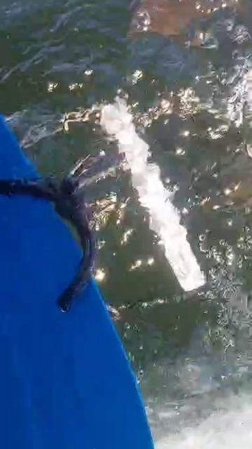 запуск смотреть онлайн