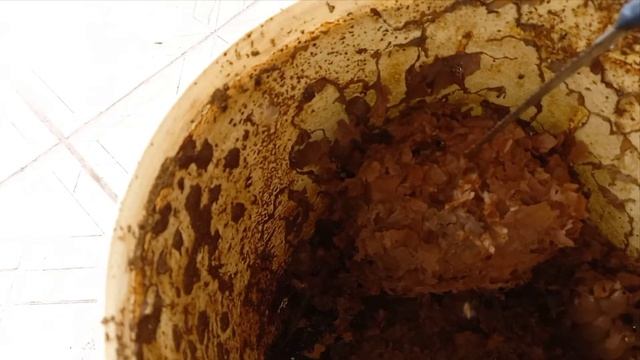 Transferência Abelha Borá Bico-de-vidro , Tetragona dorsalis смотреть онлайн