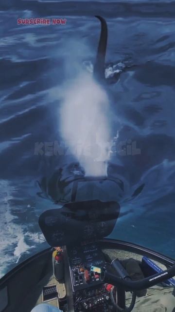 Encountering the Majestic Blue Whale #shorts смотреть онлайн