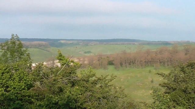 нагонка щенка эстонской гончей смотреть онлайн