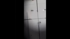 SNOWPEAK M25 6.35mm configuração para "slugs" mais leves e chumbos JSB Hades.